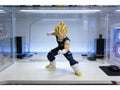 Demon King Vegeta